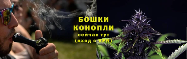 прущие грибы Краснослободск