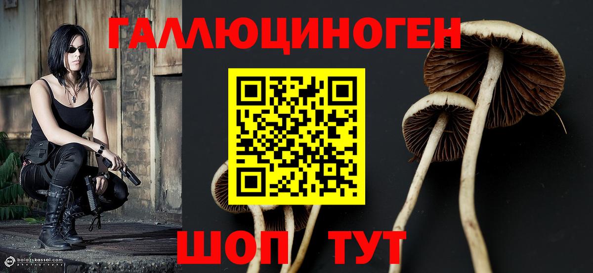Псилоцибиновые грибы MAGIC MUSHROOMS  Псилоцибиновые грибы Magic Shrooms  Туапсе  Вход с VPN 