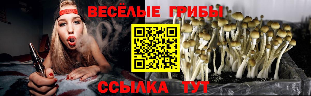 Псилоцибиновые грибы мицелий Туапсе