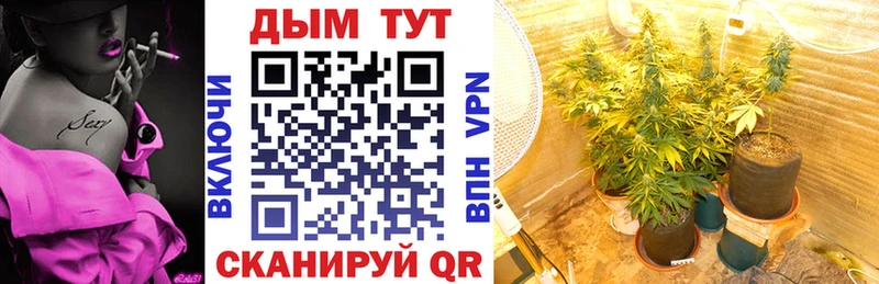 Бошки марихуана индика  купить  сайты  Туапсе 